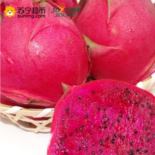 畅享礼盒 奇异果火龙果佳节送礼进口新鲜水果